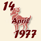 Ovan, 14 April 1977.