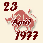 Bik, 23 April 1977.