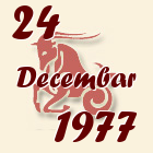 Jarac, 24 Decembar 1977.