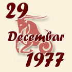 Jarac, 29 Decembar 1977.