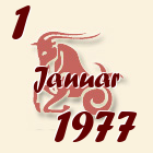 Jarac, 1 Januar 1977.