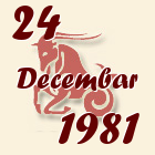 Jarac, 24 Decembar 1981.