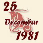 Jarac, 25 Decembar 1981.
