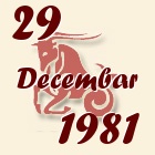 Jarac, 29 Decembar 1981.
