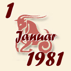 Jarac, 1 Januar 1981.