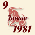 Jarac, 9 Januar 1981.